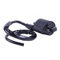 Катушка зажигания + надсвечник - СВ-125/150 YBX