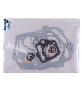 Прокладки двигателя, к-т: 17 шт. - Актив/Дельта/Альфа YBX