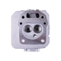 Головка блока голая - P70F