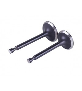 Клапаны, к-т: 2 шт. - P70F