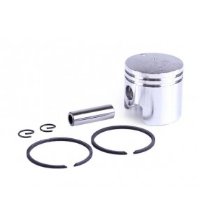Поршневой комплект: 6 единиц для бензинового опрыскивателя