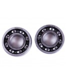 Подшипник коленвала, к-т: 2 шт. для бензинового опрыскивателя