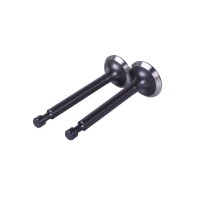 Клапаны, к-т 2 шт. - P65F (ZS)