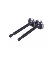 Клапаны, к-т 2 шт. - P65F (ZS)