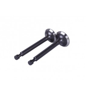 Клапаны, к-т 2 шт. - P65F (ZS)