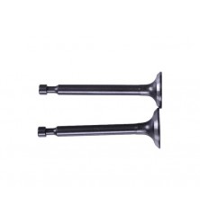 Клапаны, к-т 2 шт. - P65F (ZS)