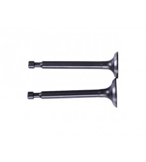 Клапаны, к-т 2 шт. - P65F (ZS)