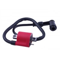 Катушка зажигания + надсвечник - ZUBR