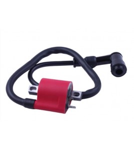 Катушка зажигания + надсвечник - ZUBR