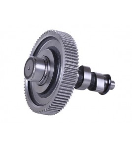 Распредвал + шестерня - 188D