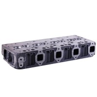 Головка блока цилиндров (после 2010г) JD495