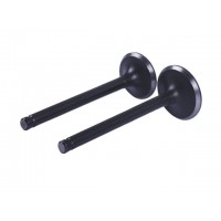 Клапаны, к-т 2 шт. - Актив/Дельта/Альфа YBX