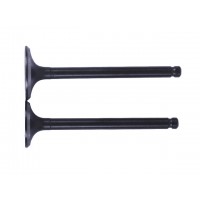 Клапаны, к-т 2 шт. - Актив/Дельта/Альфа YBX