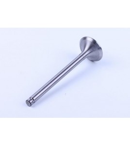 Клапан впускной DL190-12 Xingtai 120