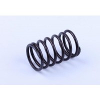 Пружина клапана внутренняя DL190-12 Xingtai 120