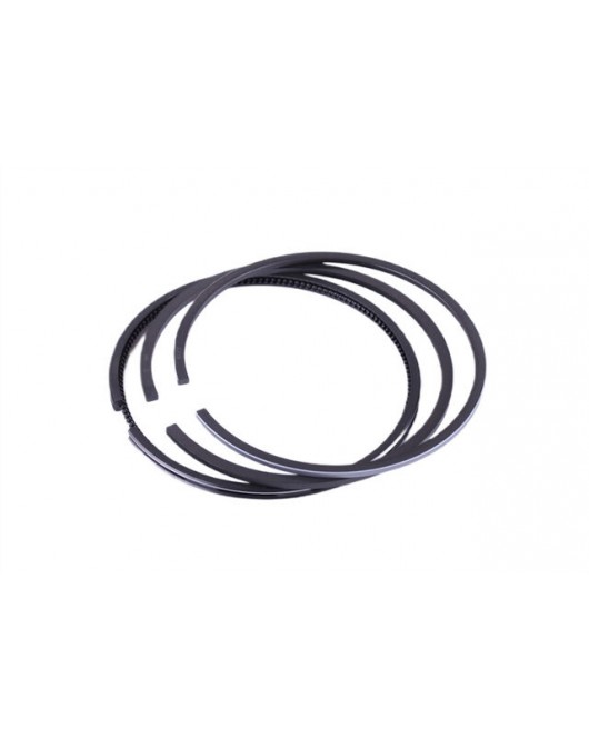 Кольца поршневые 100 мм, к-т на 1 поршень DLH-1100 Xingtai 160 Кольца поршневые 100 мм, к-т на 1 поршень DLH-1100 Xingtai 160