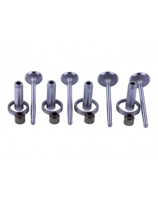 Клапана, к-т TY295 Xingtai 220/224