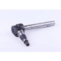 Цапфа поворотная в сборе DongFeng