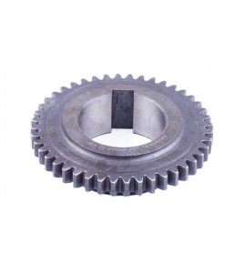 Шестерня 1-й передачи Z-44 Foton 244, ДТЗ 244, Jinma 244/264