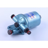 Фильтр топливный в сборе DL190-12