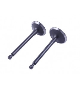 Клапаны, к-т: 2 шт. - 188F